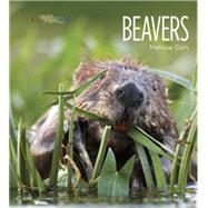 Beavers 9781628320008
