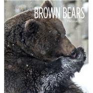 Brown Bears 9781628320015