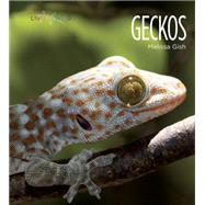 Geckos 9781628320039