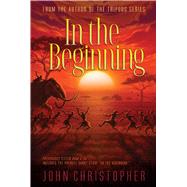 In the Beginning 9781481420044