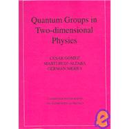 Quantum Groups in Two-Dimensional Physics