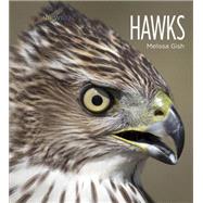 Hawks 9781628320046