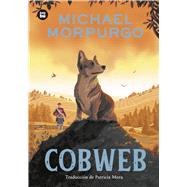 Cobweb