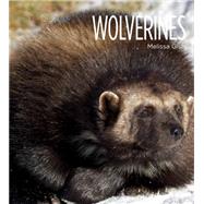 Wolverines 9781628320077