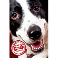 Boy's Best Friend 9780374380083