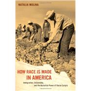 How Race Is Made in America: Immigration, Citizenship, and the Historical Power of Racial Scripts 9780520280083
