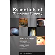 Essentials of Glaucoma Surgery 9781617110122