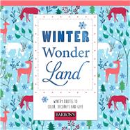 Winter Wonderland 9781438010151