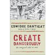 Create Dangerously 9780691140186