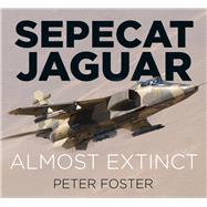 Sepecat Jaguar 9780750970211