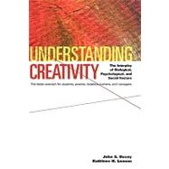 Understanding Creativity : The Interplay of Biological, Psychological, and Social Factors 9780787940324