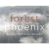 Forest Phoenix