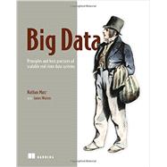 Big Data: Principles and Best Practices of Scalable Real-Time Data Systems 9781617290343
