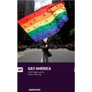 Gay America: The Road to Gay Marriage and Lgbt Rights 9781633530348