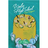 Wales High School 9781728350363