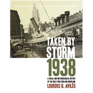 Taken by Storm, 1938: A Social and Meteorological History of the Great New England Hurricane 9781878220370