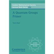 A Quantum Groups Primer