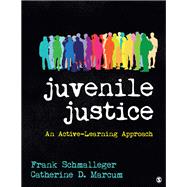 Juvenile Justice 9781544300412