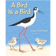 A Bird Is a Bird 9780823430420