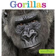 Gorillas 9781628320435