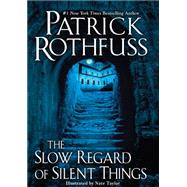 The Slow Regard of Silent Things A Kingkiller Chronicle Novella 9780756410438