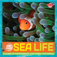 Sea Life 9781633220454
