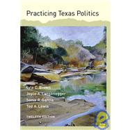 Practicing Texas Politics