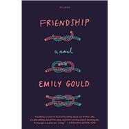 Friendship A Novel 9781250070487