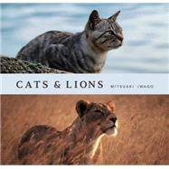 Cats and Lions 9781452140490