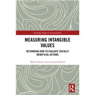 Measuring Intangible Values