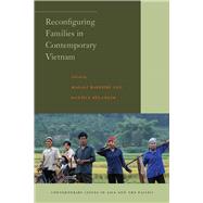 Reconfiguring Families in Contemporary Vietnam 9780804760577