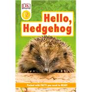 Hello, Hedgehog
