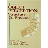 Object Perception