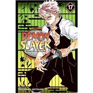 Demon Slayer - Kimetsu No Yaiba 17 9781974710614