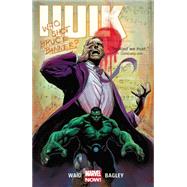 Hulk Volume 1 9780785190615