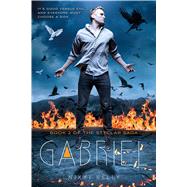 Gabriel 9781250090669
