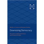 Downsizing Democracy