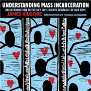 Understanding Mass Incarceration 9781620970676