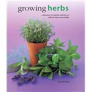 Growing Herbs: A Directory of Varieties and How to Cultivate Them Successfully 9780754830696