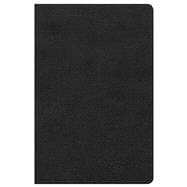 NKJV Ultrathin Reference Bible, Black LeatherTouch 9781433620720