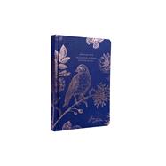 Jane Austen - Indulge Your Imagination Hardcover Ruled Journal 9781647220723
