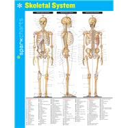 Skeletal System SparkCharts 9781411470804