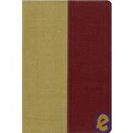 KJV/Archaeological Study Bible 9780310940838
