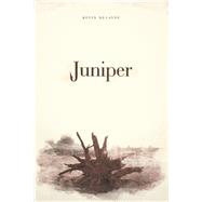 Juniper