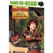 How to Track a Dragon 9781481460880