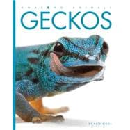 Geckos 9781628320893