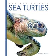 Sea Turtles 9781628320916