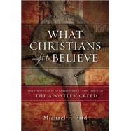 What Christians Ought to Believe 9780310520924