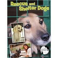 Rescue and Shelter Dogs 9781634300940