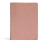 Holy Bible 9781535970990